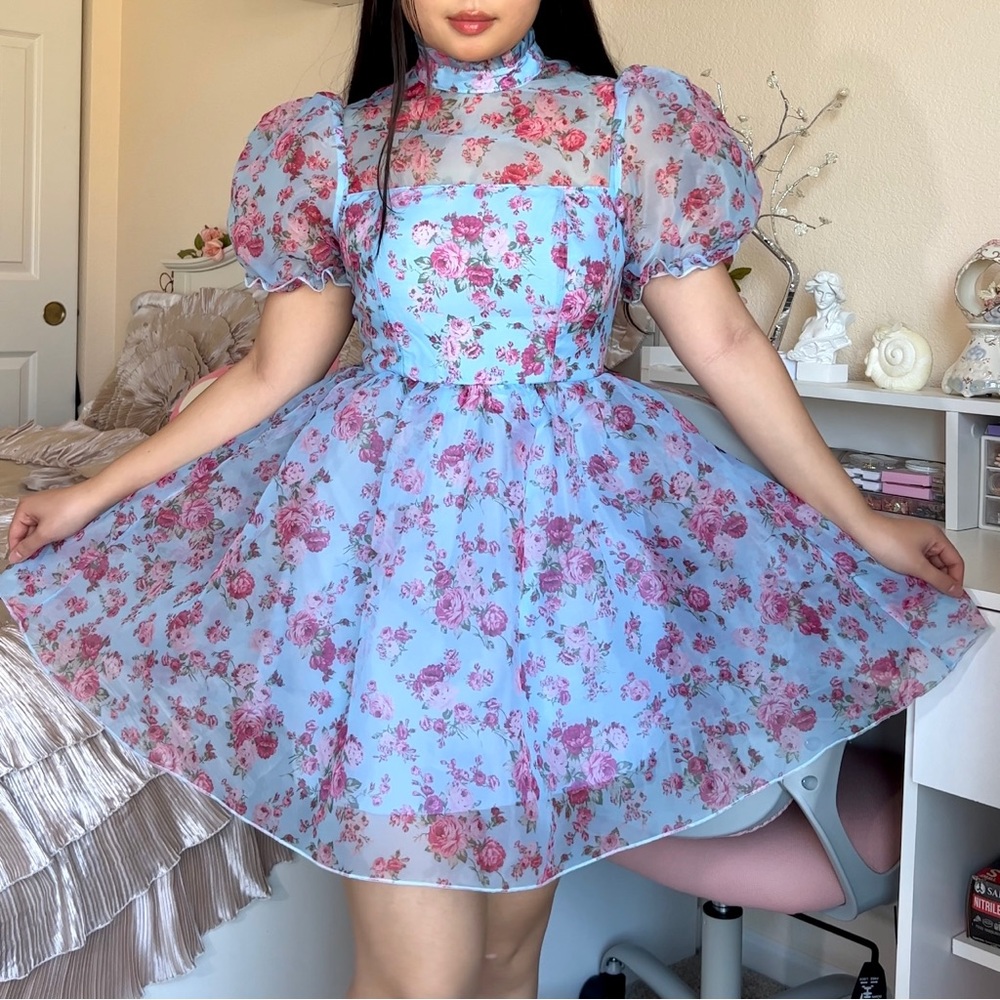 Shein Floral Print Babydoll Organza Dress